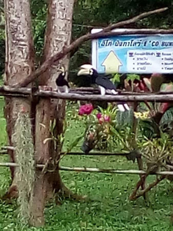 Eco Bungalow Koh Phayam Luaran gambar