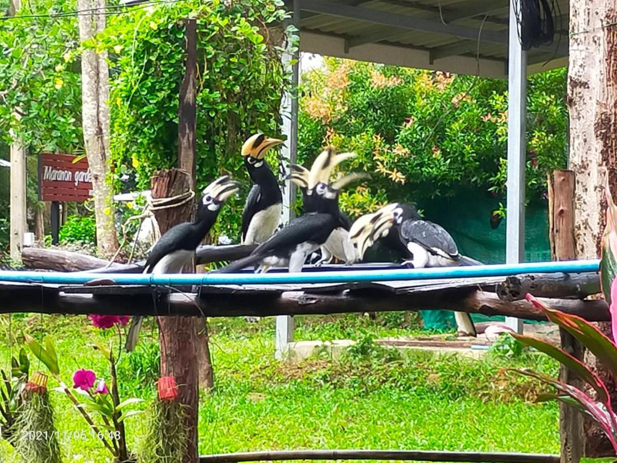 Eco Bungalow Koh Phayam Luaran gambar