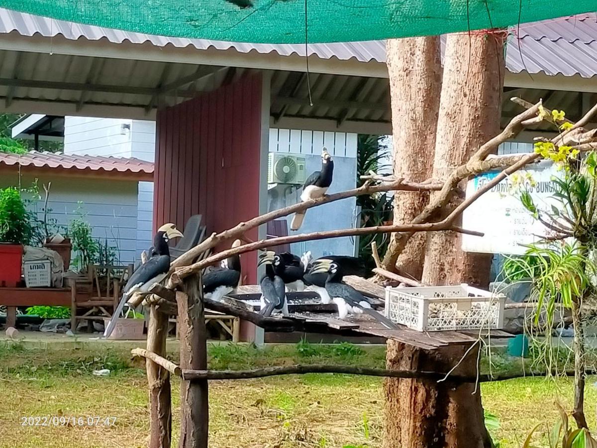Eco Bungalow Koh Phayam Luaran gambar