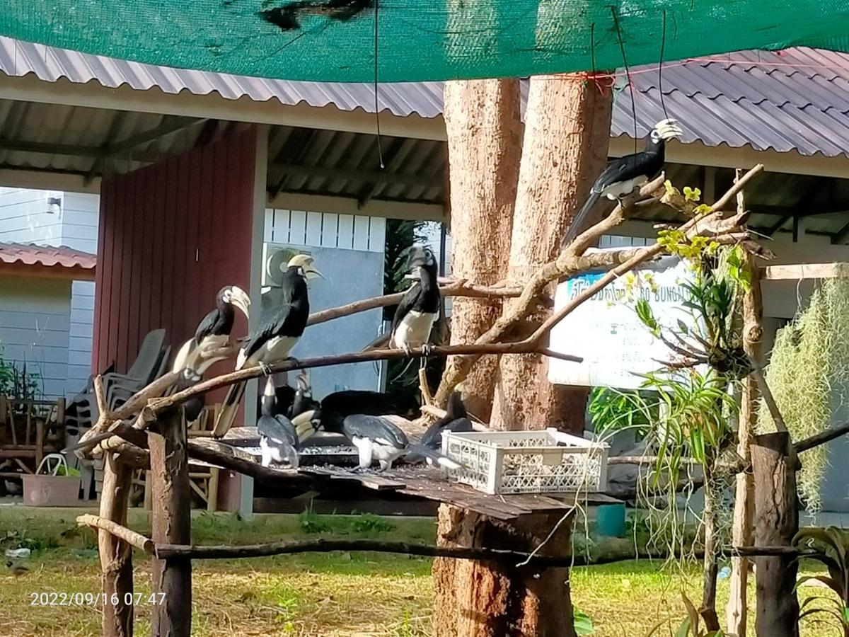 Eco Bungalow Koh Phayam Luaran gambar