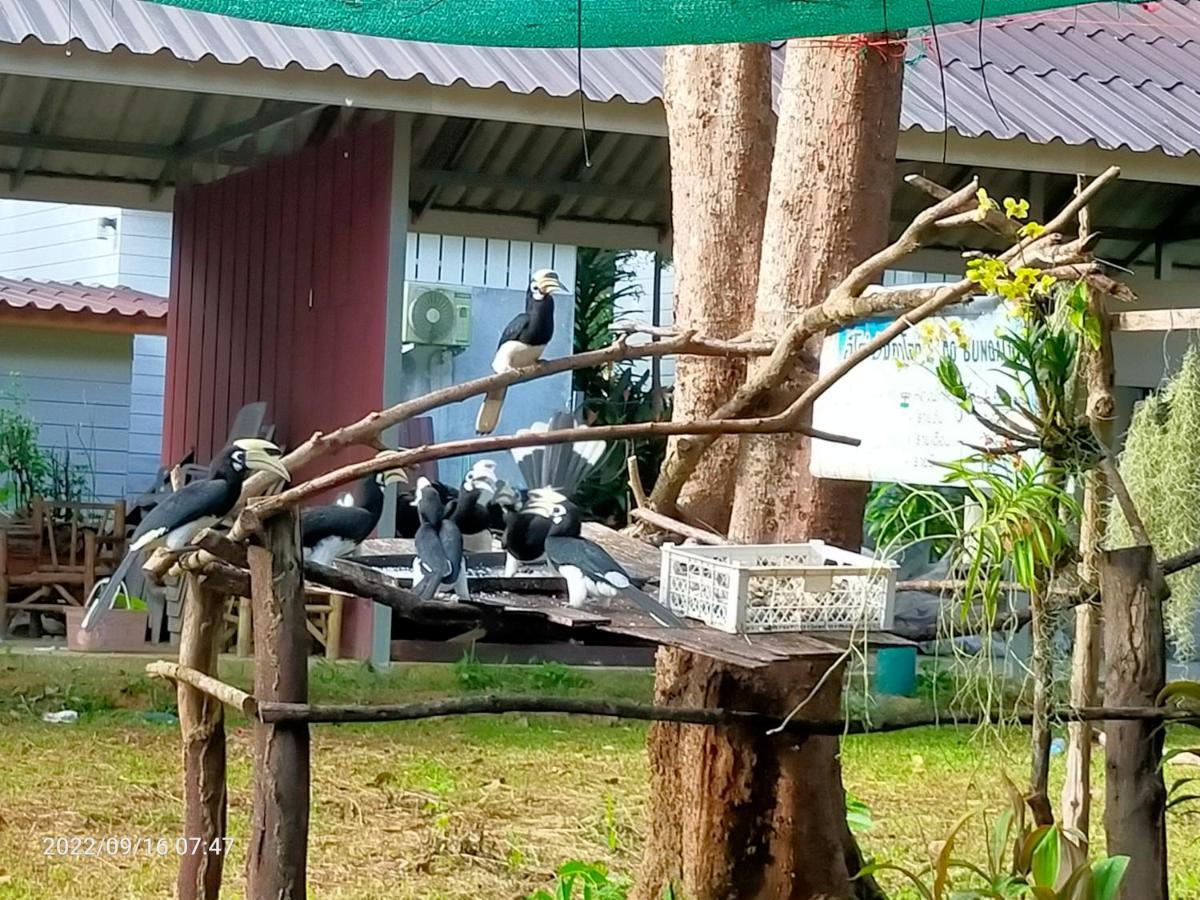 Eco Bungalow Koh Phayam Luaran gambar